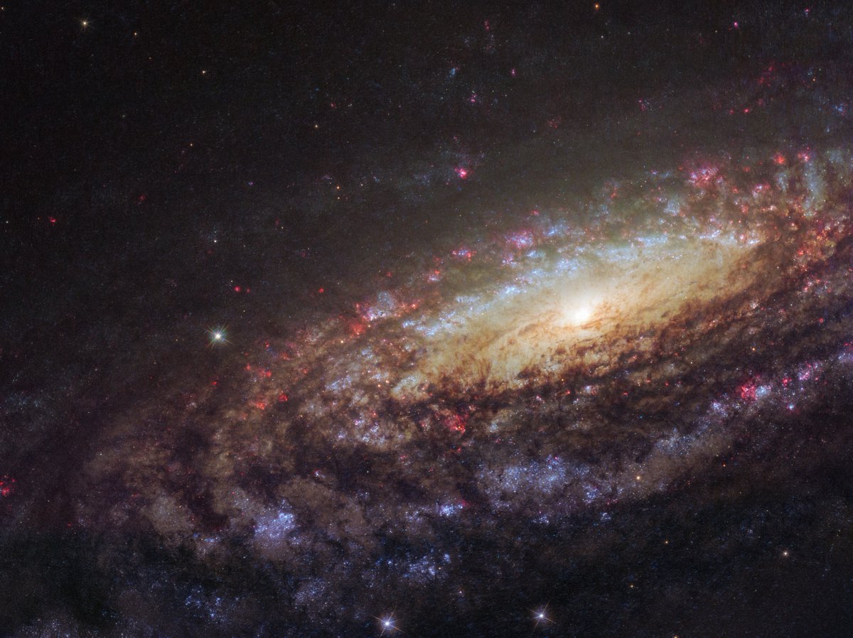 Caldwell 30 (also known as NGC 7331) is a handsome spiral galaxy about 45 million light-years away in the constellation Pegasus. It's mass and dimensions are very similar to our Milky Way.Credit: ESA/Hubble & NASA / D. Milisavljevic (Purdue University)