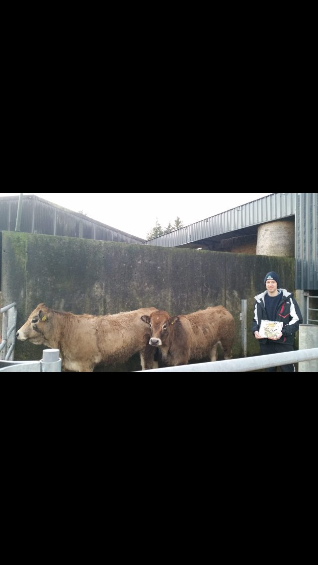 CanniffeDenis's tweet photo. Got a great surprise from Kate with these to reindeer landing this evening 🎅 #Aubrac https://t.co/6faVOzKe7T
