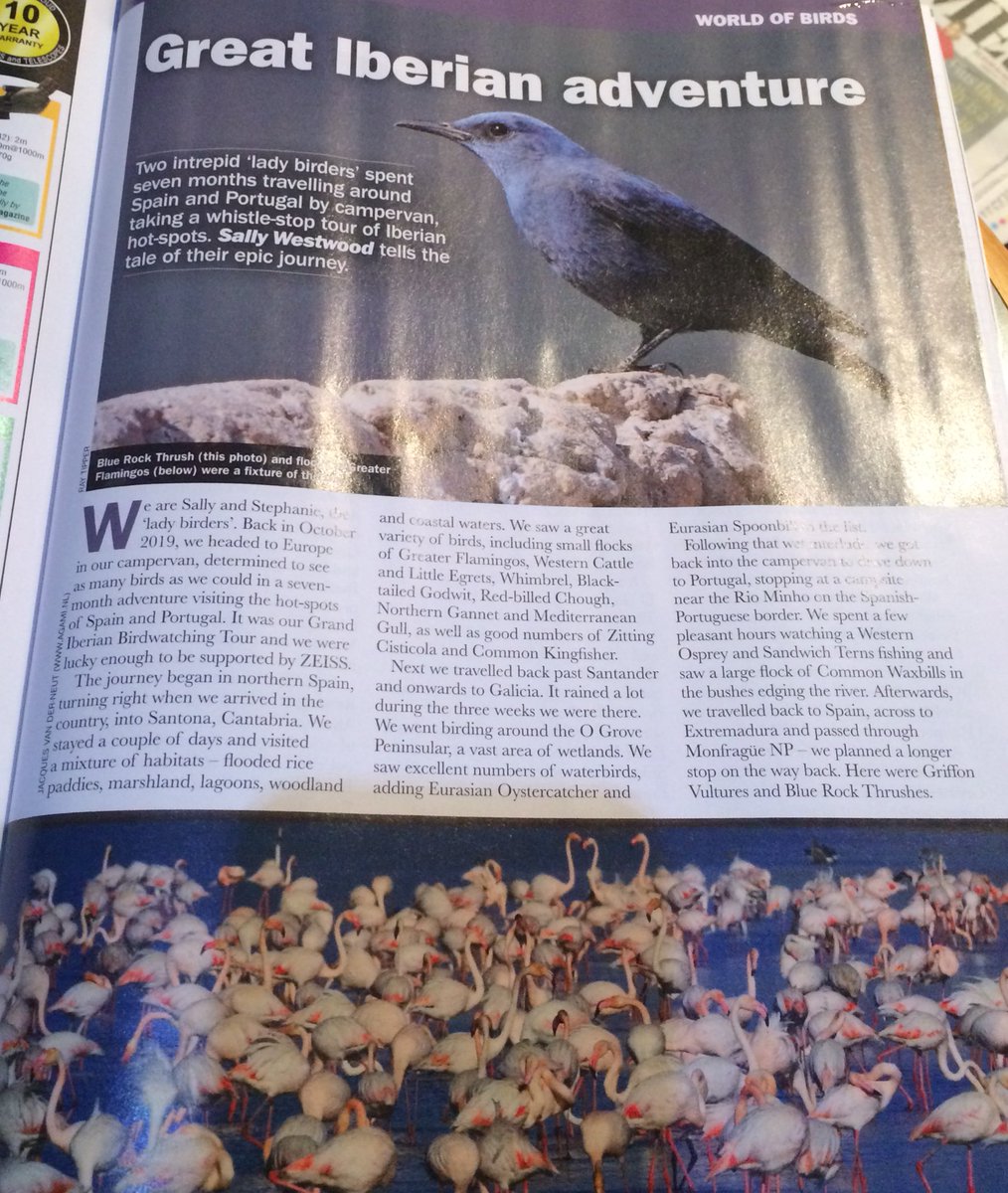 drbirdhead's tweet photo. Check out the latest Birdwatch @BirdwatchExtra magazine and my latest article. Thank you Rebecca. #ZEISSnature #ZEISSbirding #theladybirders #sallyandstephanie https://t.co/sk3gQLqvSJ