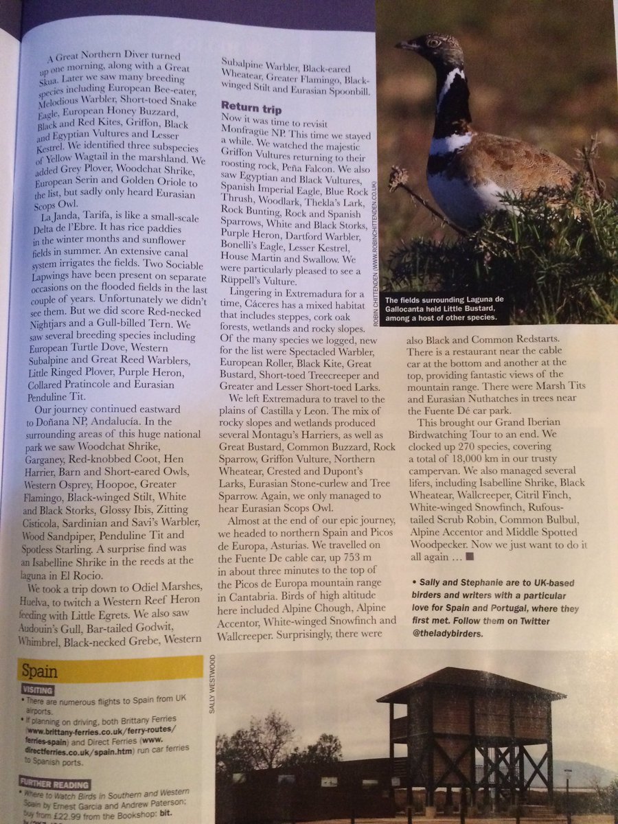 drbirdhead's tweet photo. Check out the latest Birdwatch @BirdwatchExtra magazine and my latest article. Thank you Rebecca. #ZEISSnature #ZEISSbirding #theladybirders #sallyandstephanie https://t.co/sk3gQLqvSJ