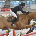 Photo by AssisesFilièreEquine (@AFEquine)