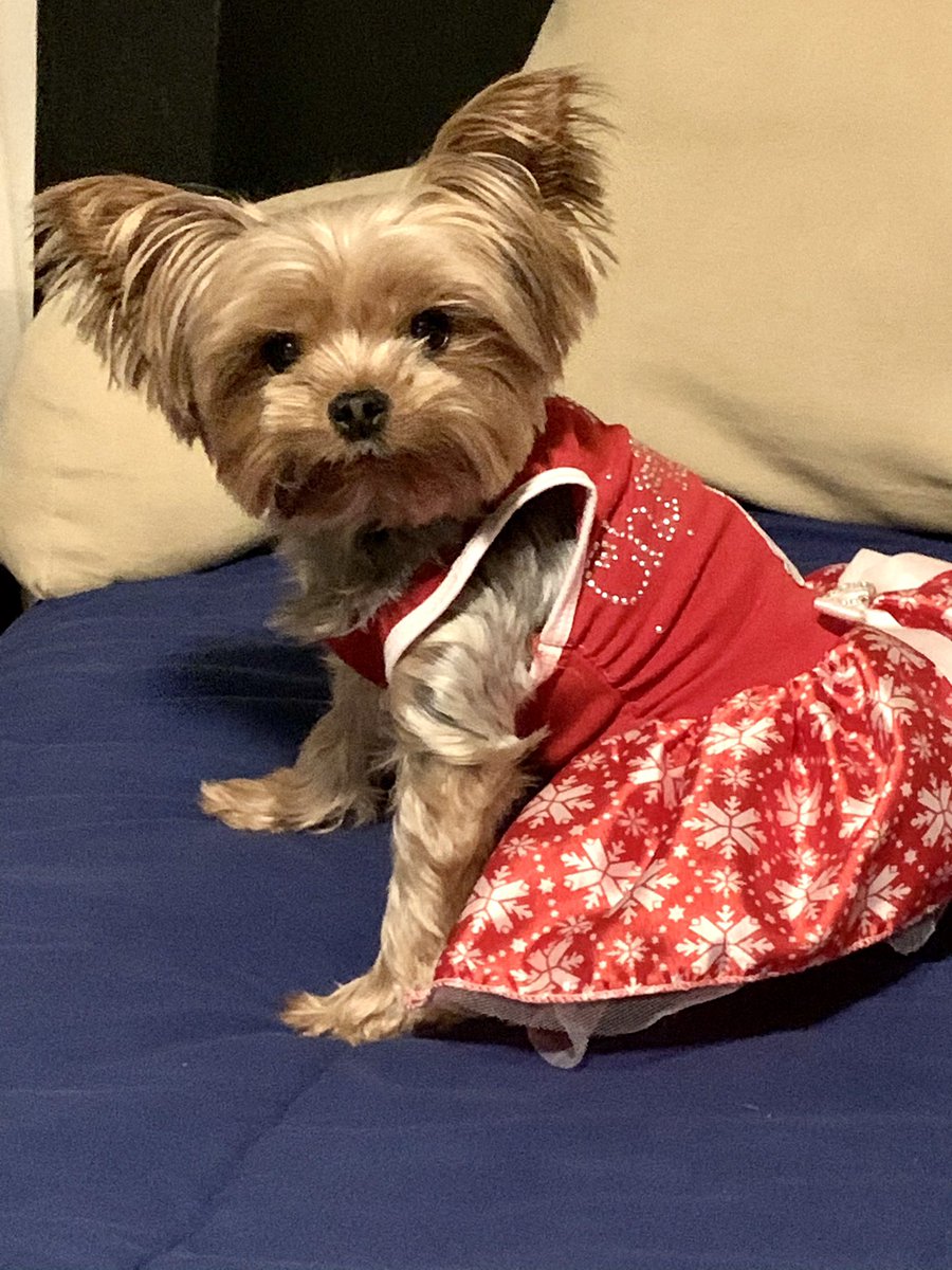 dee_epstein's tweet photo. @MusicChoice #merrymusicchoice - I have yet to see any of the lovely photos submitted by your viewers appear on your channel.  Here are mine again. https://t.co/xtDIgbQE6T