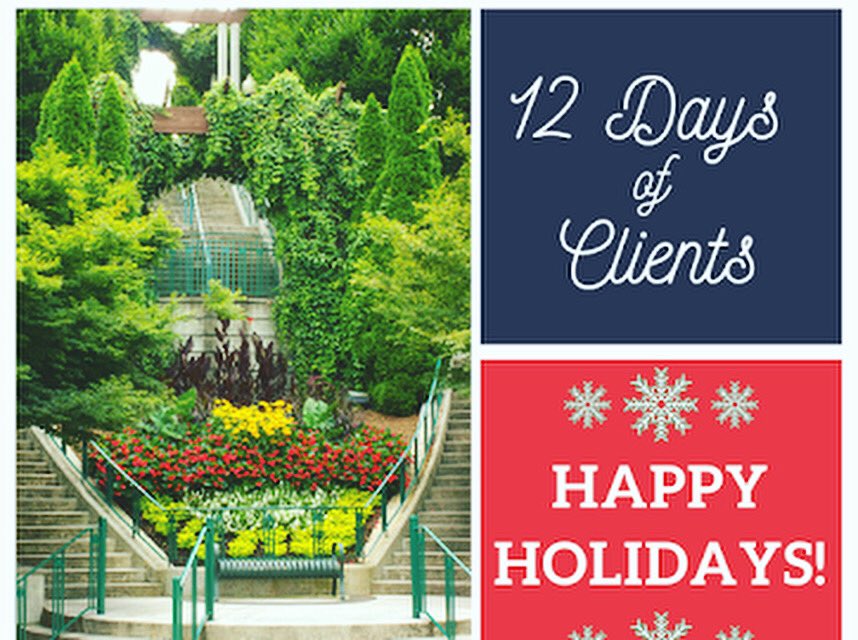 Landscape Workshop tweet media