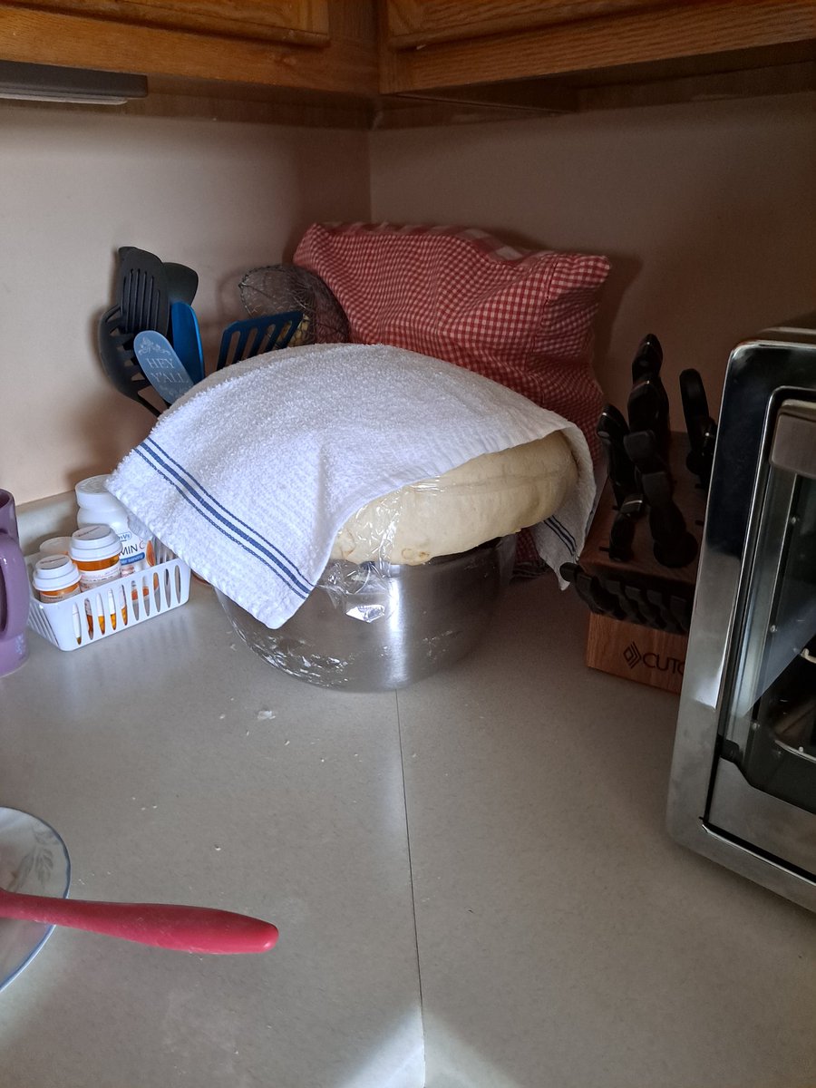 amystreasures's tweet photo. Less than 2 hours, the dou8is trying to escape πππ #baking #ineedabiggerbowl #middleeasternfood #middleeasternpastry #baking #fromscratch #homemade #homemadefromscratch https://t.co/a0hX3For7e