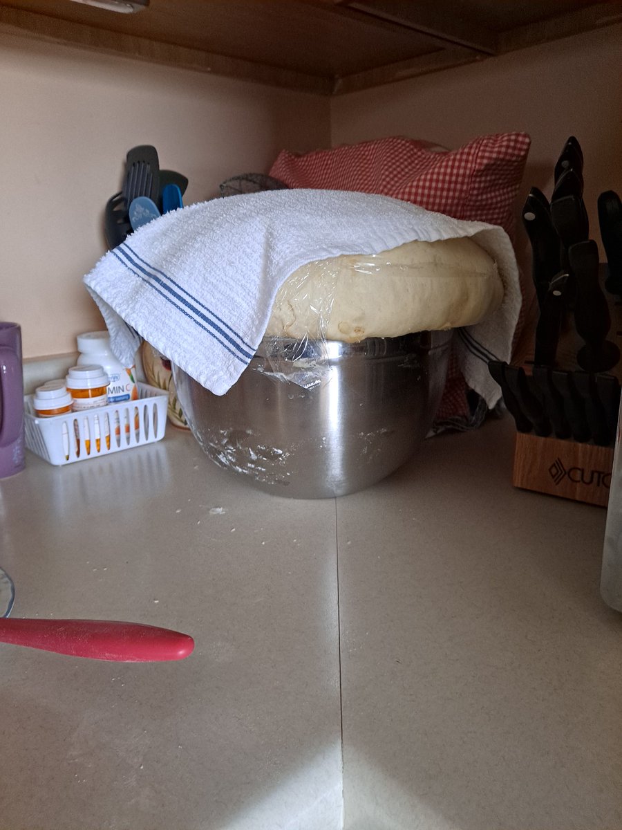 amystreasures's tweet photo. Less than 2 hours, the dou8is trying to escape πππ #baking #ineedabiggerbowl #middleeasternfood #middleeasternpastry #baking #fromscratch #homemade #homemadefromscratch https://t.co/a0hX3For7e