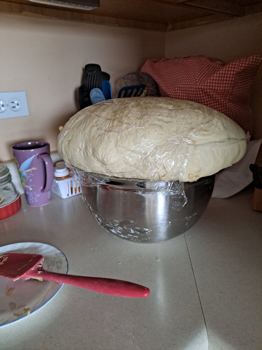 amystreasures's tweet photo. Less than 2 hours, the dou8is trying to escape πππ #baking #ineedabiggerbowl #middleeasternfood #middleeasternpastry #baking #fromscratch #homemade #homemadefromscratch https://t.co/a0hX3For7e