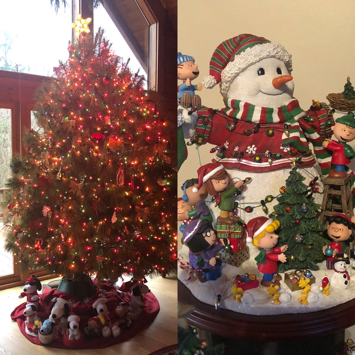 Trinity High School tweet media