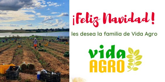 Vida Agro tweet media