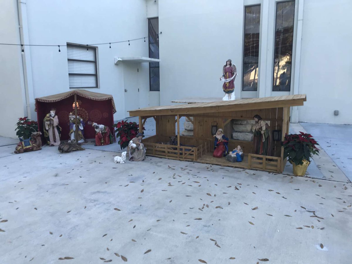 Catholic Bulls tweet media