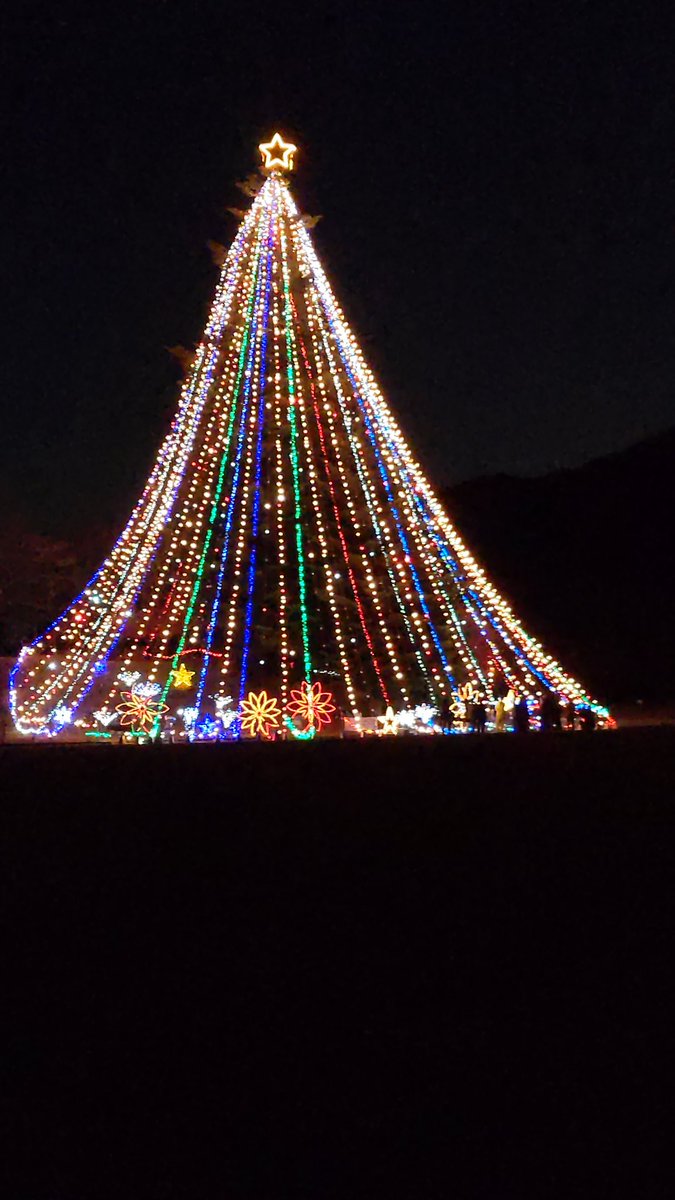 日本一のクリスマスツリー