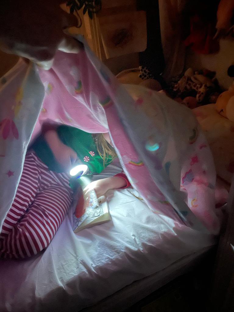 chic_osity's tweet photo. @ArchibaldFirst Christmas reading challenge reading under the covers by torchlight.. ✅ 

running out of books.. hurry up Santa!     
Happy Christmas everyone! Xx https://t.co/vASc6odg2f