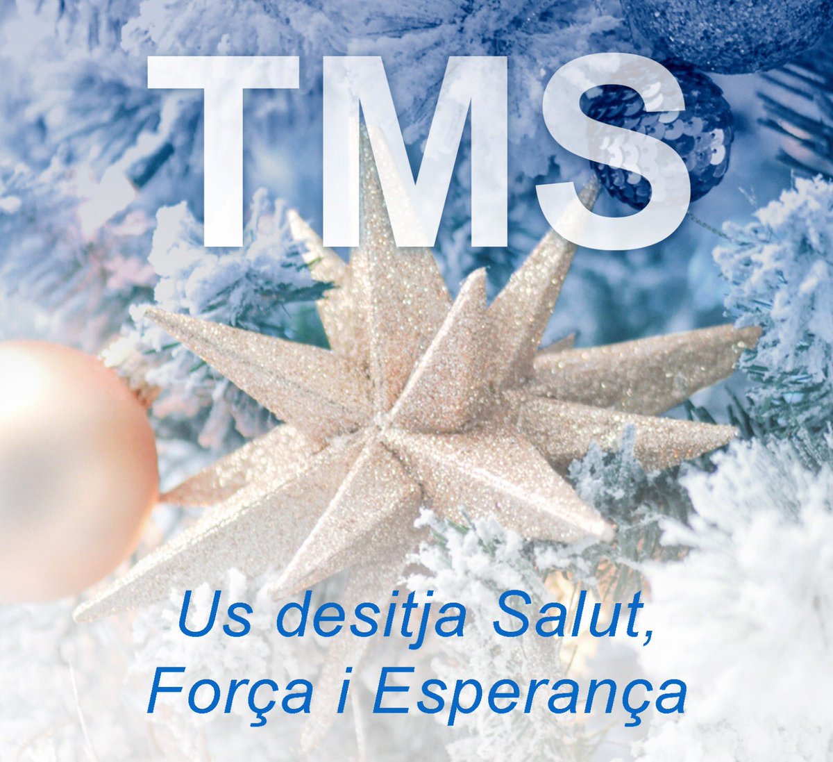 TMSReformes's tweet photo. Bon Nadal !!! https://t.co/rT7T4D2Gkx