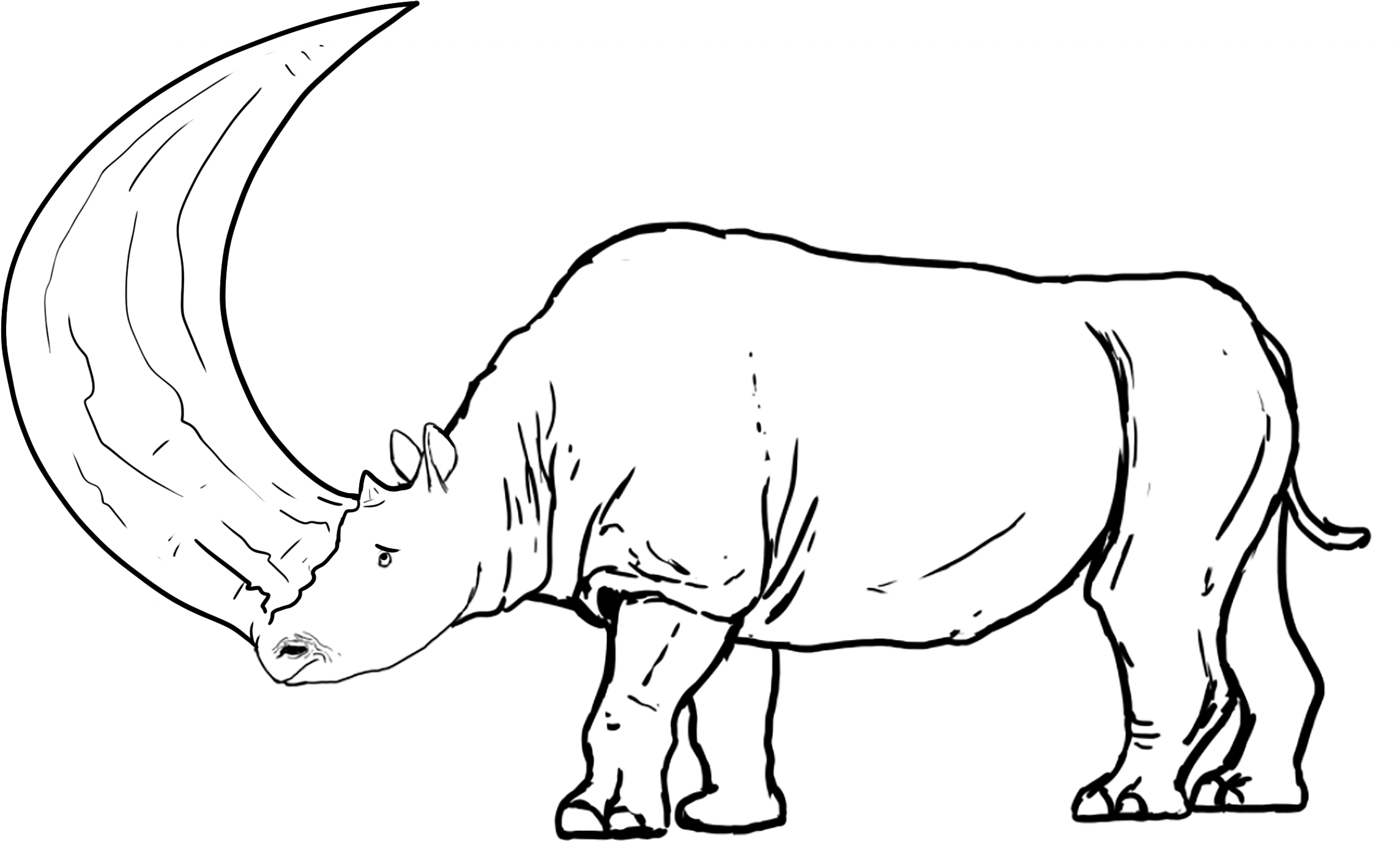Riamus on Twitter: "@Emily_Art @shamrokn Yeah, for example: Black Rhino
