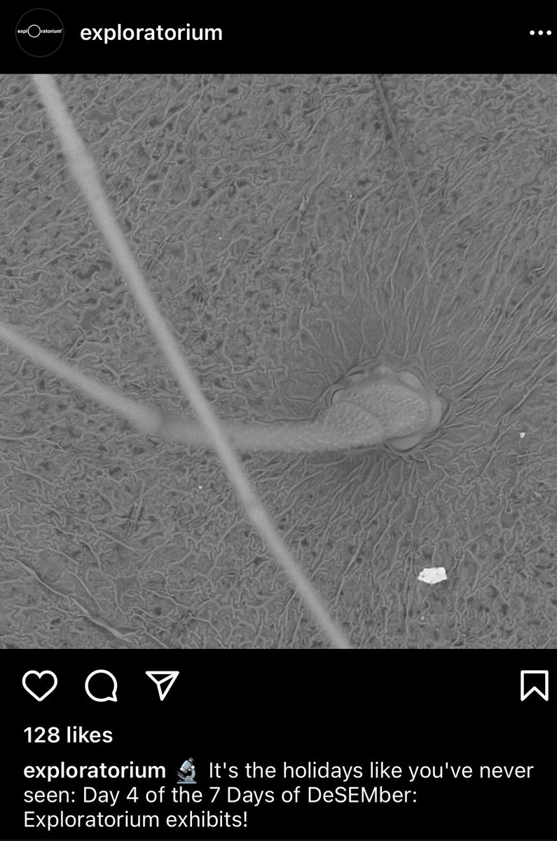 Hitachi_STEM's tweet image. Join the fun with @exploratorium guess what this is?