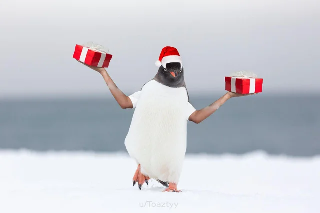 Merry Christmas everyone!