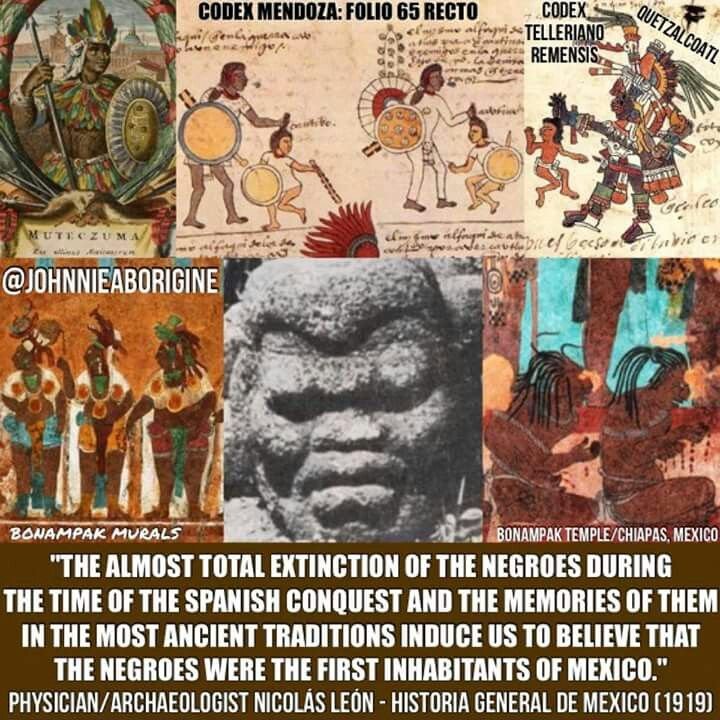 One way or another however the Aztecs/ dark mexicans (or at least alot of them) found there way north and mixed with the northern moors, hence why you have aztec/mayan features with beards. A trait not usually found among them.