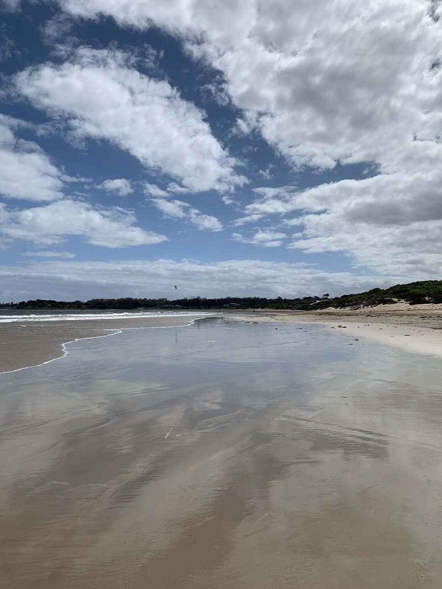 McfarlaneCat's tweet photo. Merry Christmas from the beach this year! Particularly thinking of those who aren’t able to celebrate as they usually would or had planned❤️ https://t.co/XCNIHeY3uo