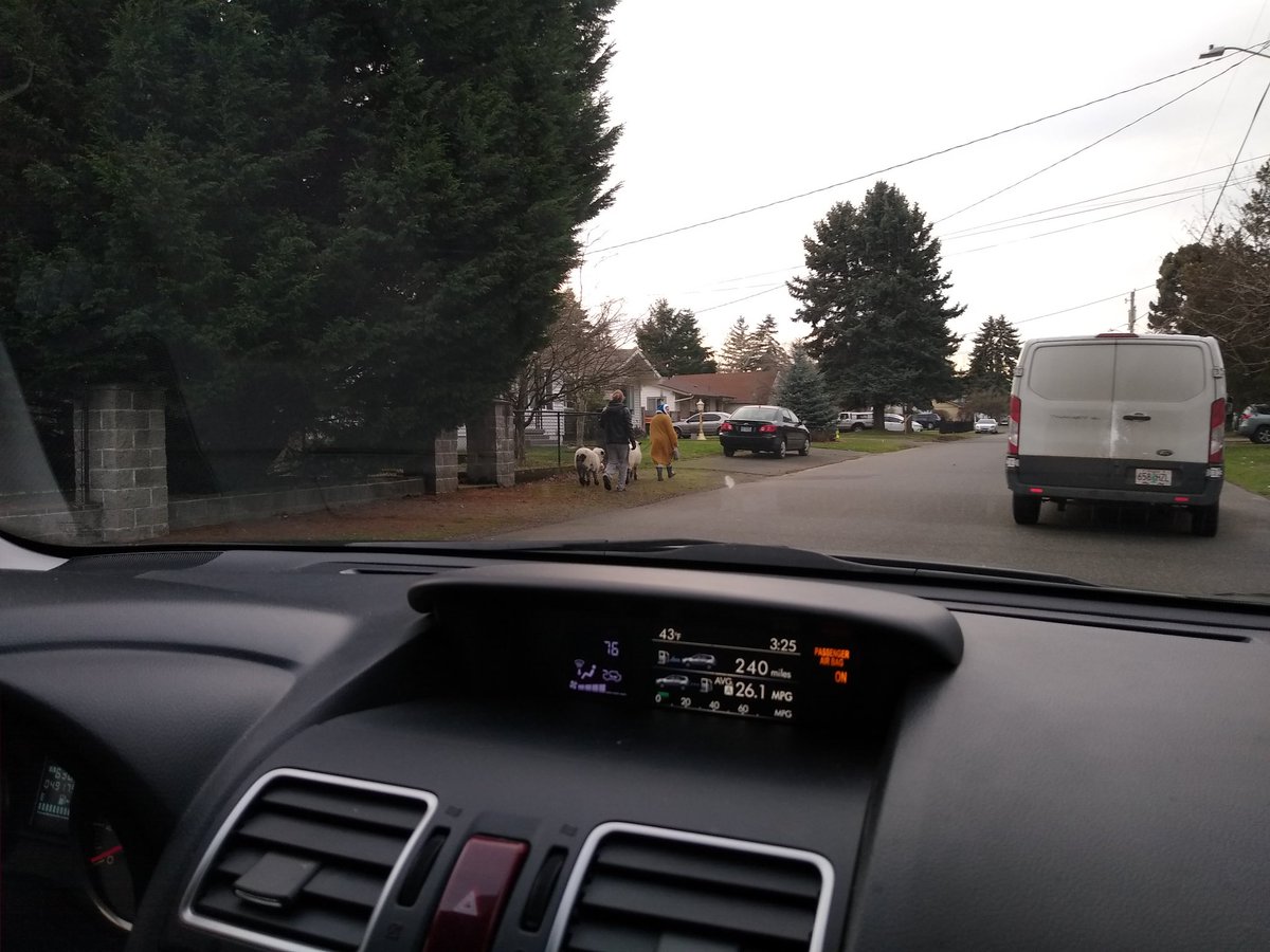 Jamie Woods tweet media