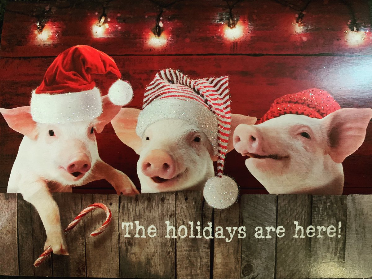 Merry Christmas and a very Prosperous New Year to all my friends and family from here and abroad 🎄❄️ We love you and will be thinking of you! ❤️❤️ #merrychristmas #happynewyear