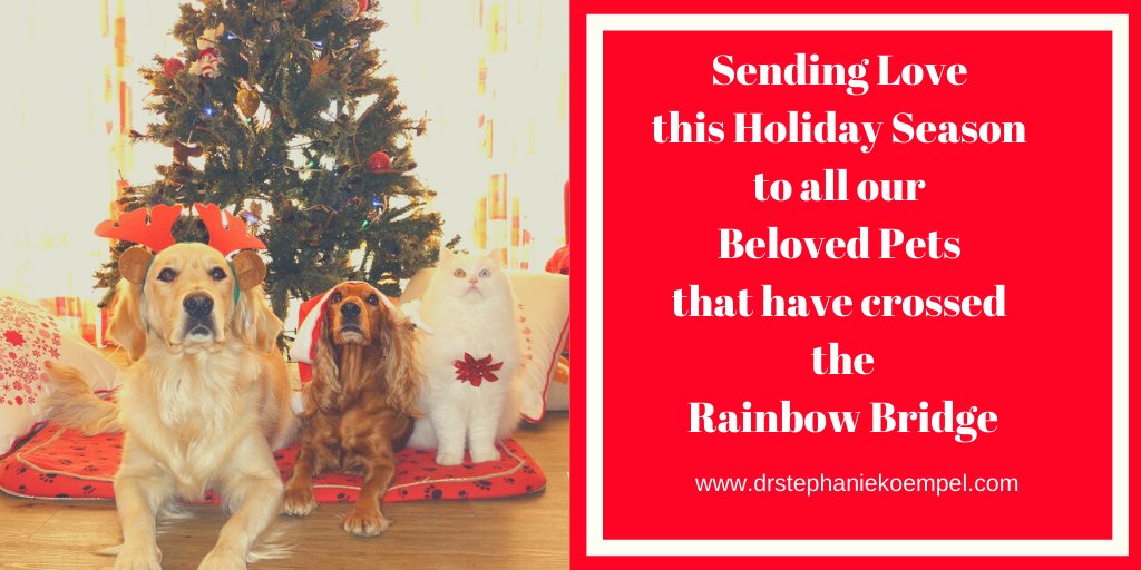 Dr Stephanie Koempel tweet media