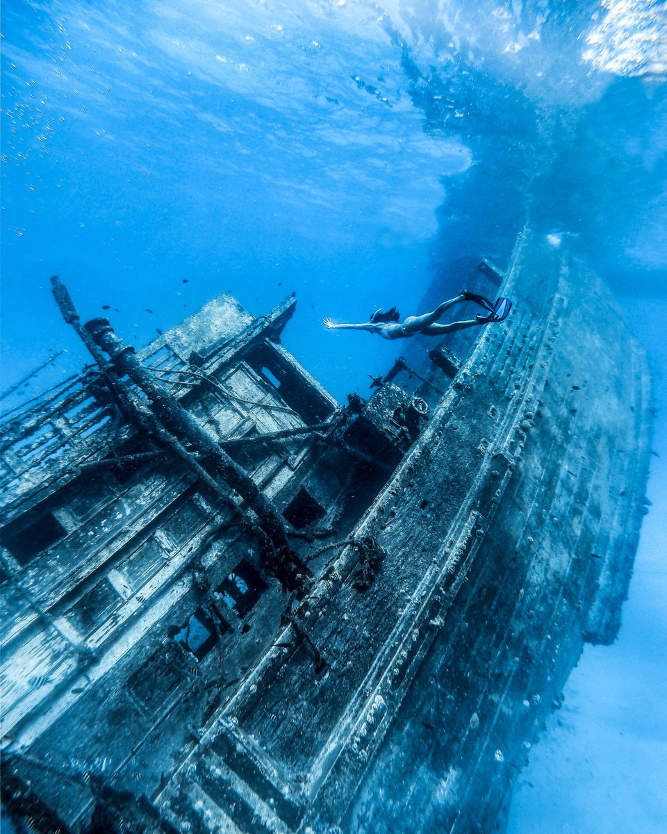 GoPro's tweet photo. Photo of the Day: Exploring sunken steel with #GoProFamily members Daniel Suárez Falcón + Claudia Tubilla ⛴ 🤿

Take your photography into the blue world 🌊 #GoProHERO9 Black is waterproof 30ft (10m) right out of the box + is always ready to get wet. https://t.co/5VsMfId9Qd