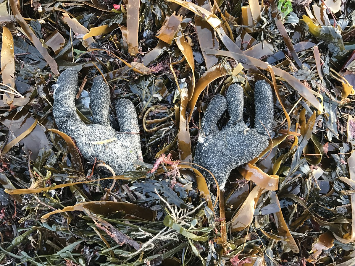 Lego Lost At Sea tweet media