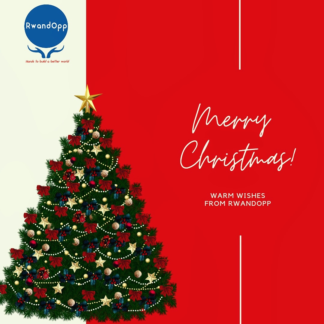 rwandopp's tweet photo. 🎄Merry Christmas✨✨

May the holidays bring you plenty of joy, love and happiness!

 Warm Wishes from RwandOpp. https://t.co/asWjN0UchR