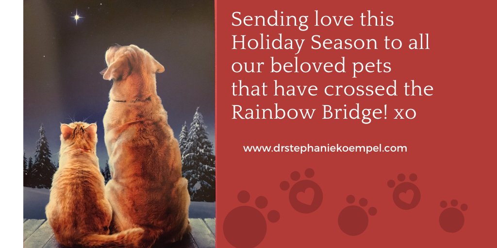 Dr Stephanie Koempel tweet media