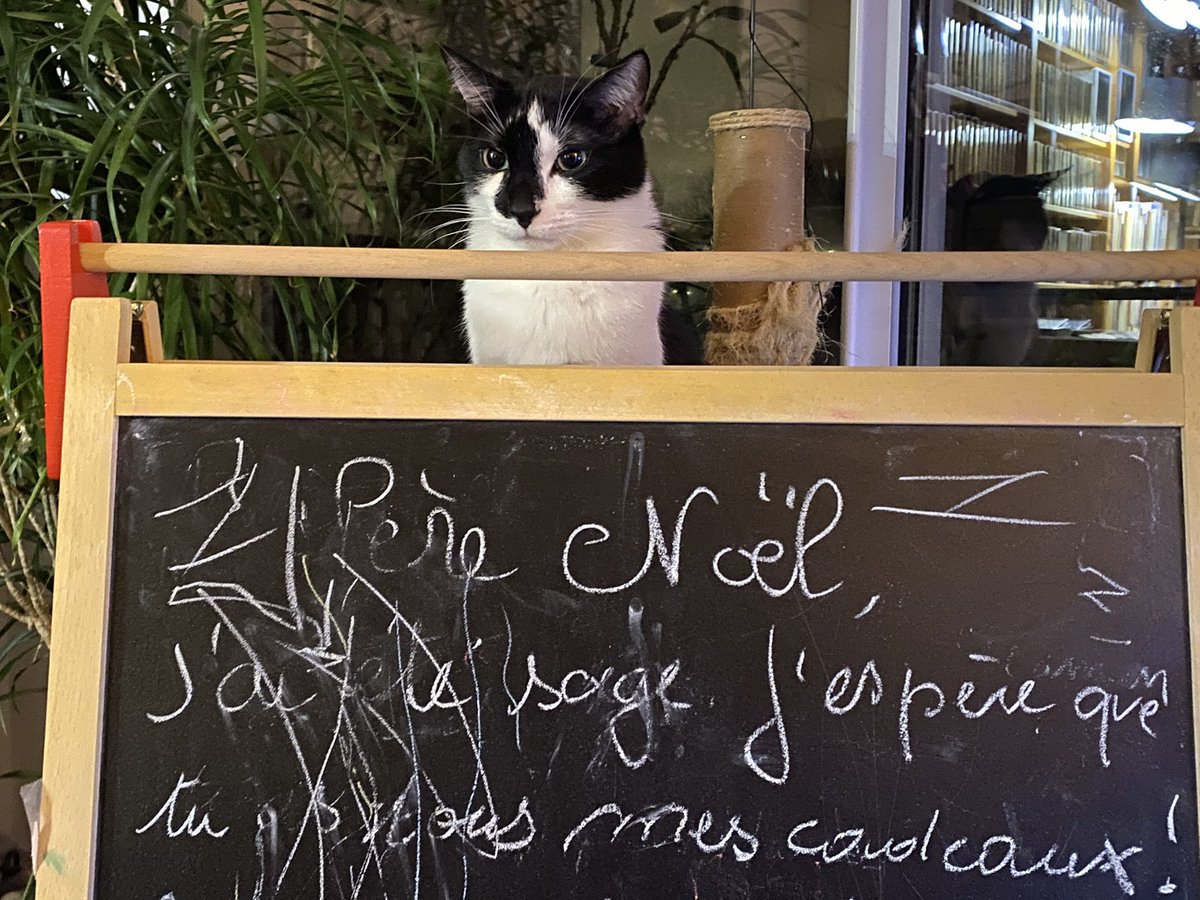 ChatBaga's tweet image. 