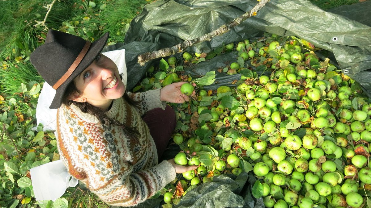 For the next instalment of our  #womenincider  #noappleogies series, we spoke to Chava from  @welsh_cider, who is a producer and COO there.