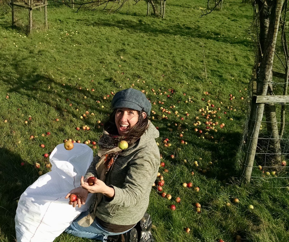 For the next instalment of our  #womenincider  #noappleogies series, we spoke to Chava from  @welsh_cider, who is a producer and COO there.