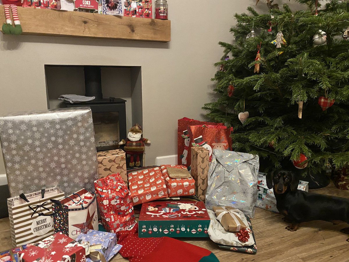 Steve and Stan-Stan The Sausages tweet media