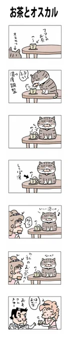 お茶とオスカル
#こんなん描いてます
#自作マンガ #漫画 #猫まんが 
#4コママンガ #NEKO3 