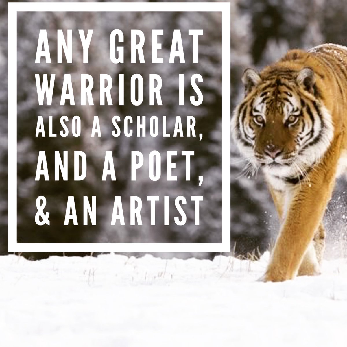 UofMRCP's tweet photo. Greatness is being in your Element :) 
#RIVERACITYPARTNERSHIP
#RCPpartnership #UofMEducation https://t.co/5Ako9J0V3k