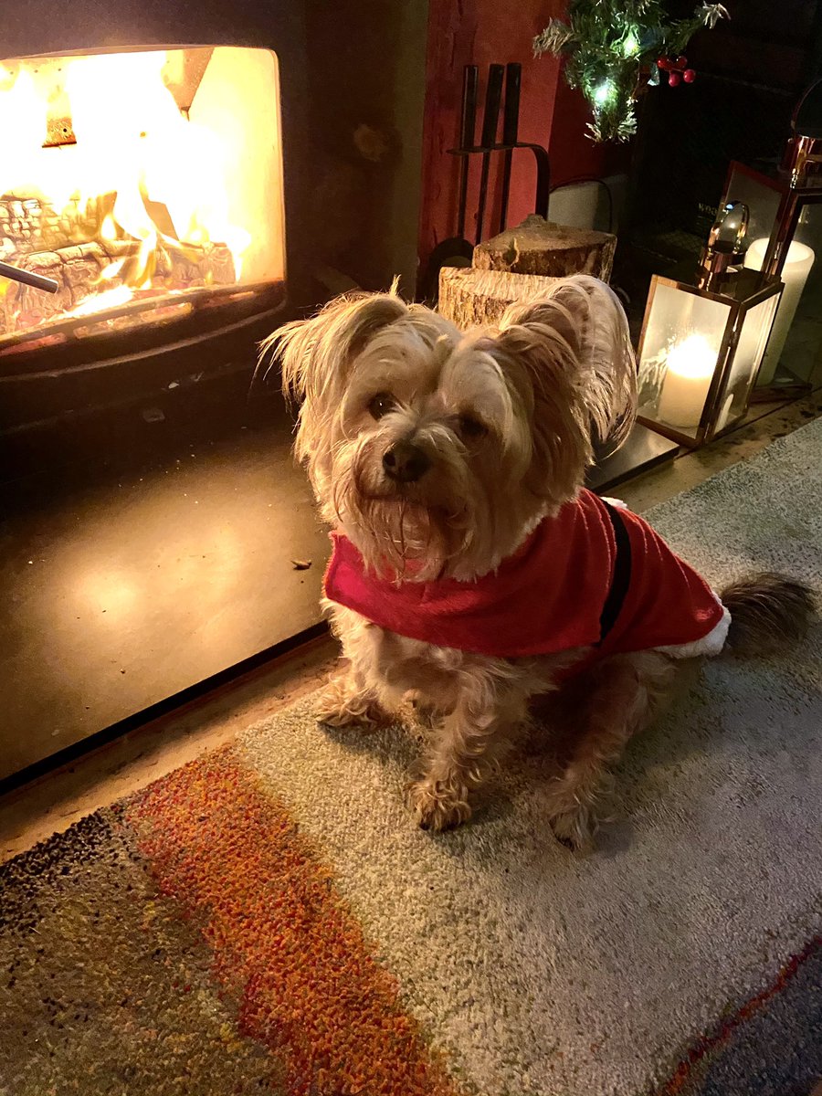 Just this ❤️❤️❤️