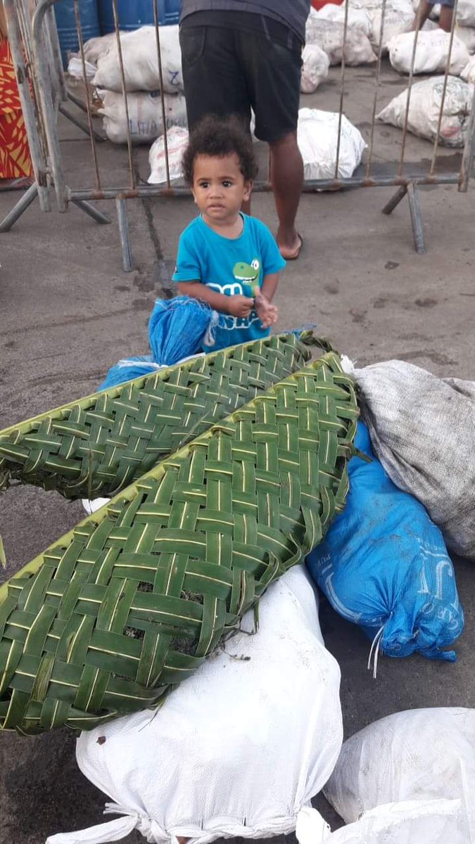 VBUATAVATAVA's tweet photo. He arrived this morning from Nairai.#nama #lairo #niu https://t.co/Ci87CAtOgP