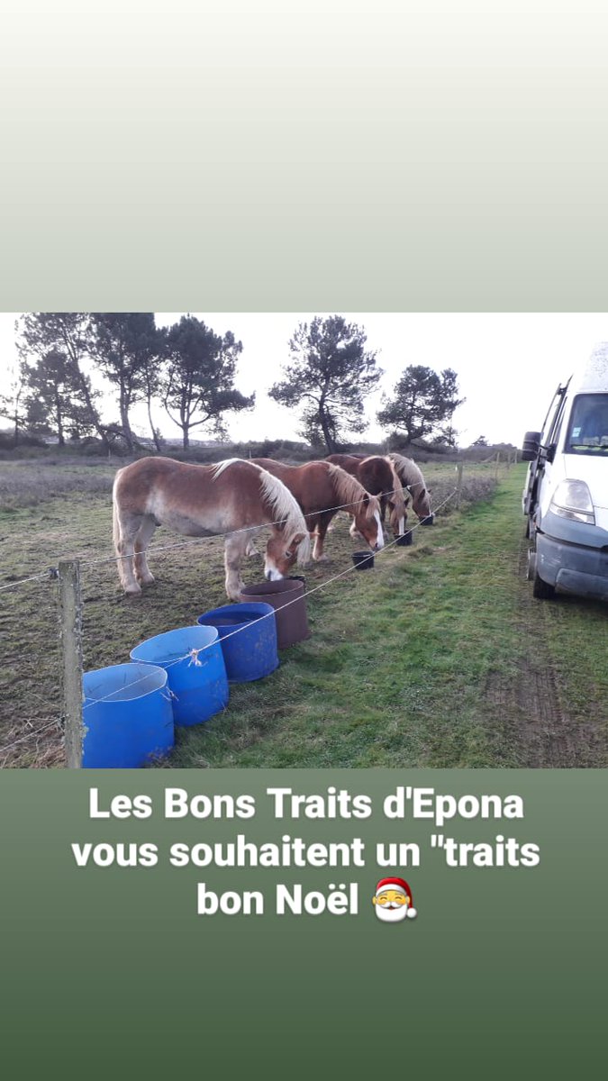 LbtEpona's tweet photo. "Traits" bon Noël à tous 🎅 https://t.co/f979aYZ51p