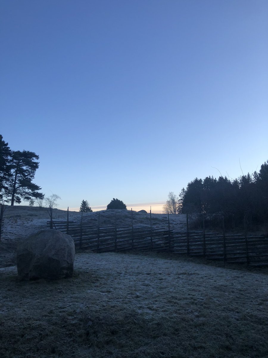 God Jul / Happy Christmas Eve from the frosty morning over the Iron Age burial ground ❄️
