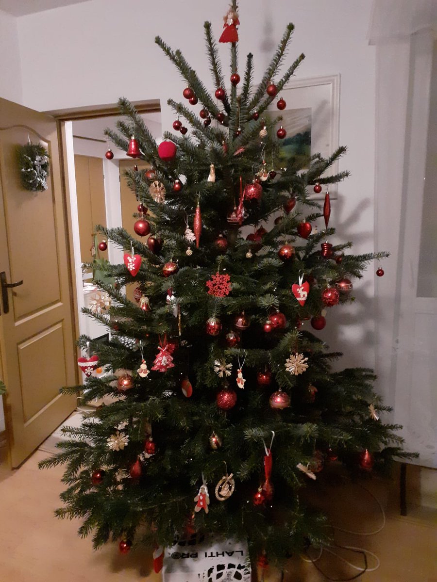 Raffael. (@oscar77156751) on Twitter photo 