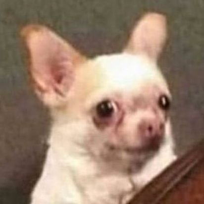 StarPrix tweet media