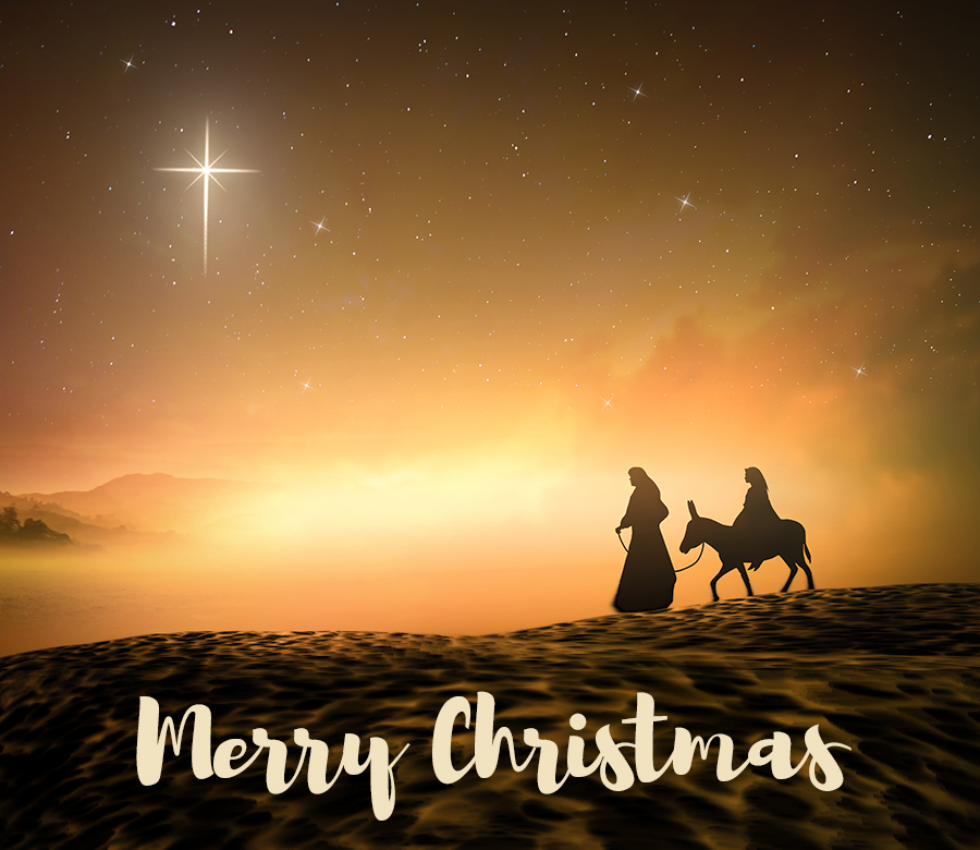 GoodEarthGarden's tweet photo. Our family wishes yours a Christmas filled with peace, love, and joy! https://t.co/k2zdWtbRCj