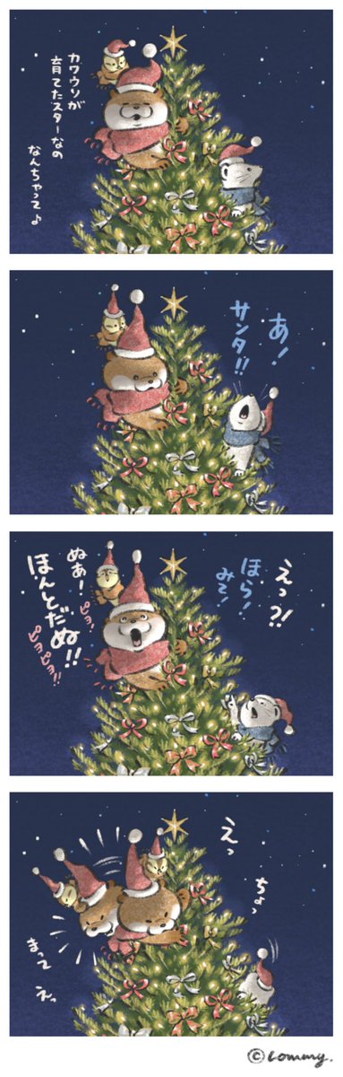 輝けるステージだったの?✨【続き】
#クリスマス #メリークリスマス  #カワウソ 