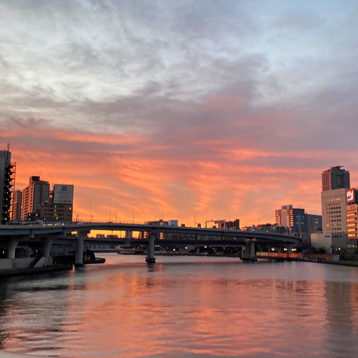 今日の朝焼け☀️
久々の早起きは寒いけど、素敵な景色を見れて良かった😊✨

メリークリスマス❗️いつもお世話になっている皆様へ写真のプレゼントです🎁🎄
#朝焼け 
#MerryChristmas 
#おは戦21225dk