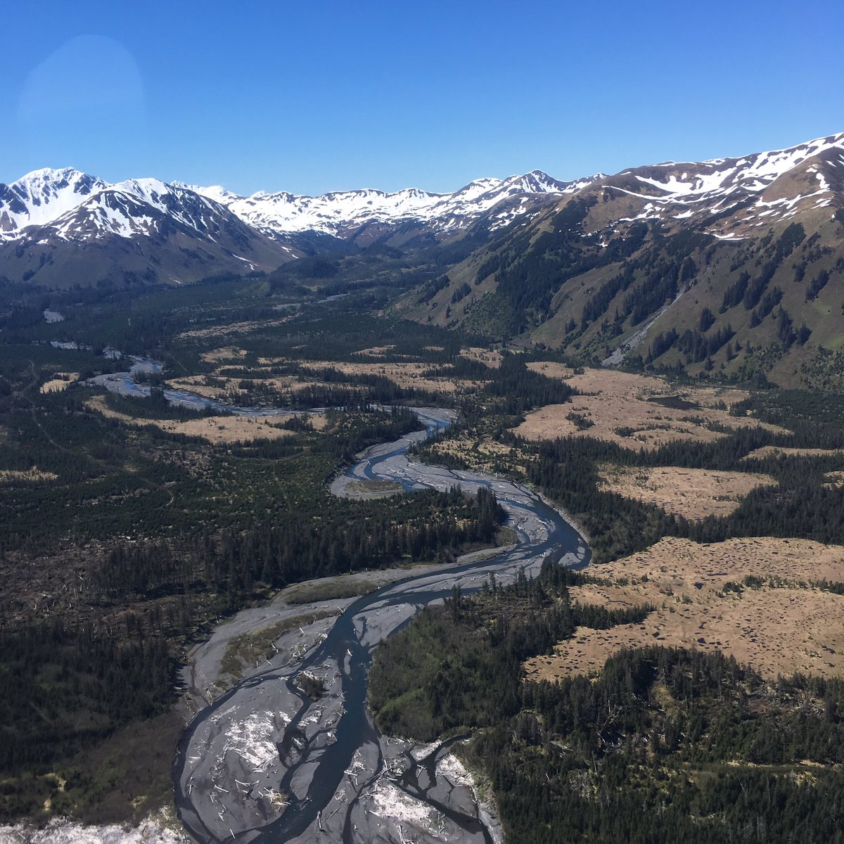 Chainsaws carry a significant amount of “inherent risk” ie they have tremendous potential for causing damage/injury. For this reason, a lot of people are scared of them. And they should be. But a lot of things are dangerous. Everything in the picture below is. So are sea planes.