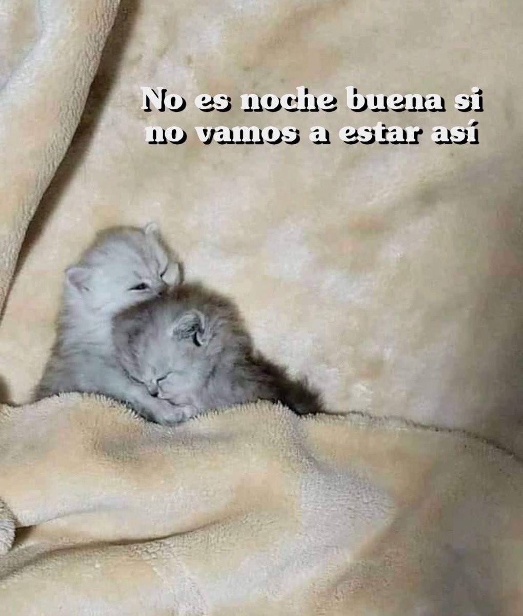 𝕷𝖔𝖛𝖎𝖓𝖌 𝕸𝖊𝖒𝖊𝖘 🥕 (@memes4love1) on Twitter photo 