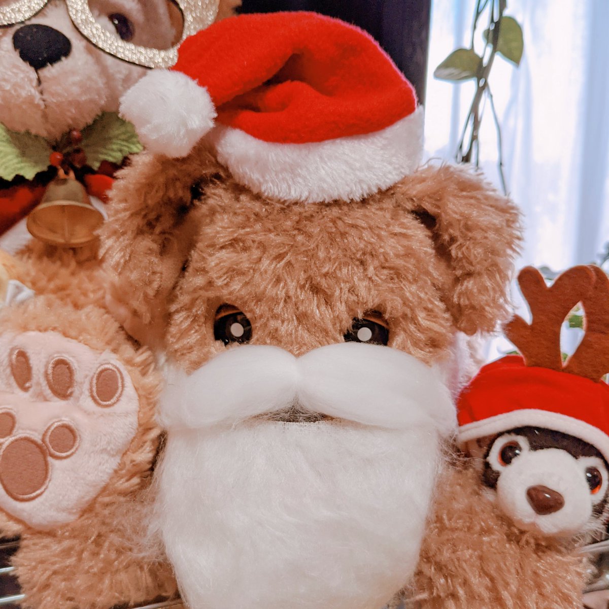 ☆新作入荷☆新品 もっとおりこうダッキー drenriquejmariani.com