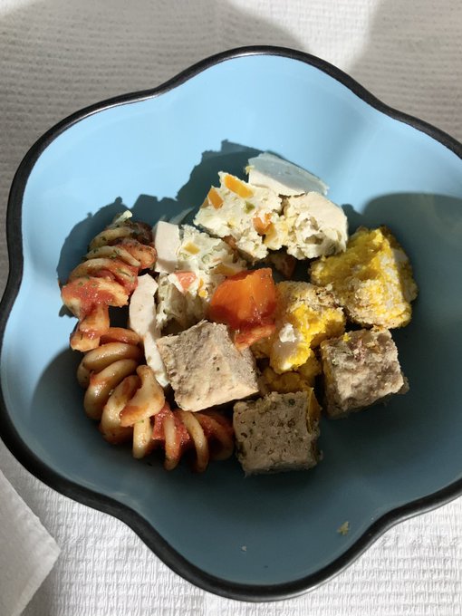 サイレントナイトのtwitterイラスト検索結果