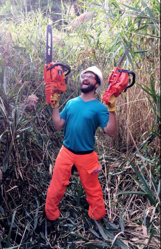 Always buy used chainsaws. Look up what’s on Craigslist or Facebook marketplace. Ask the seller what’s wrong with it. All chainsaws secretly suck in some way, especially the brand new ones.