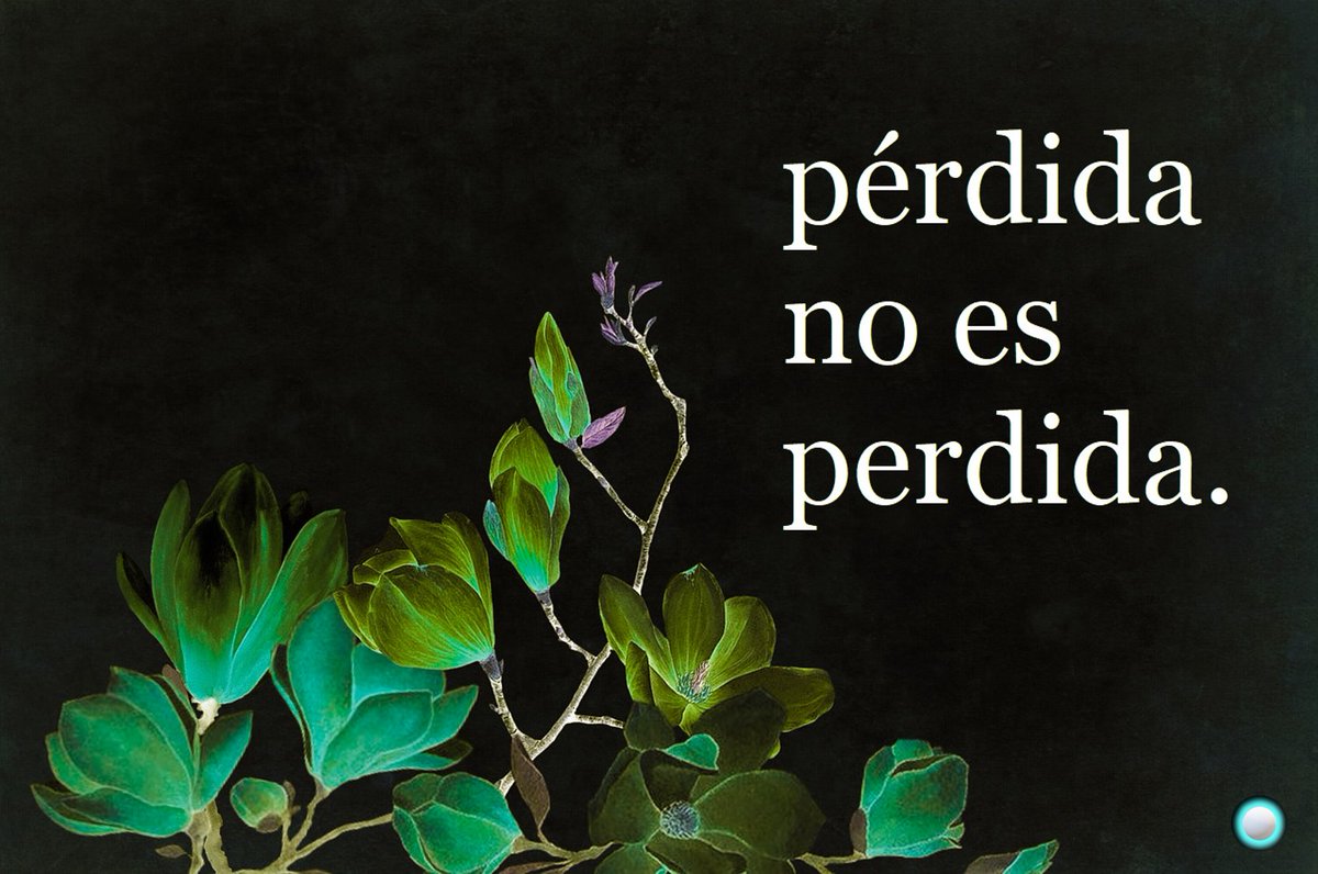 BigNeural's tweet photo. pérdida no es perdida.

mucho se ha perdido. amigas, padres, tías y abuelos.

empleos y vuelos.

amores, amantes y colores; voluntades y nimiedades.

pero la vida rebasa a la pérdida. lo material está condenado. 
lo elemental está destinado a trascender; la vida o el cuerpo. https://t.co/iFHirgQzyG