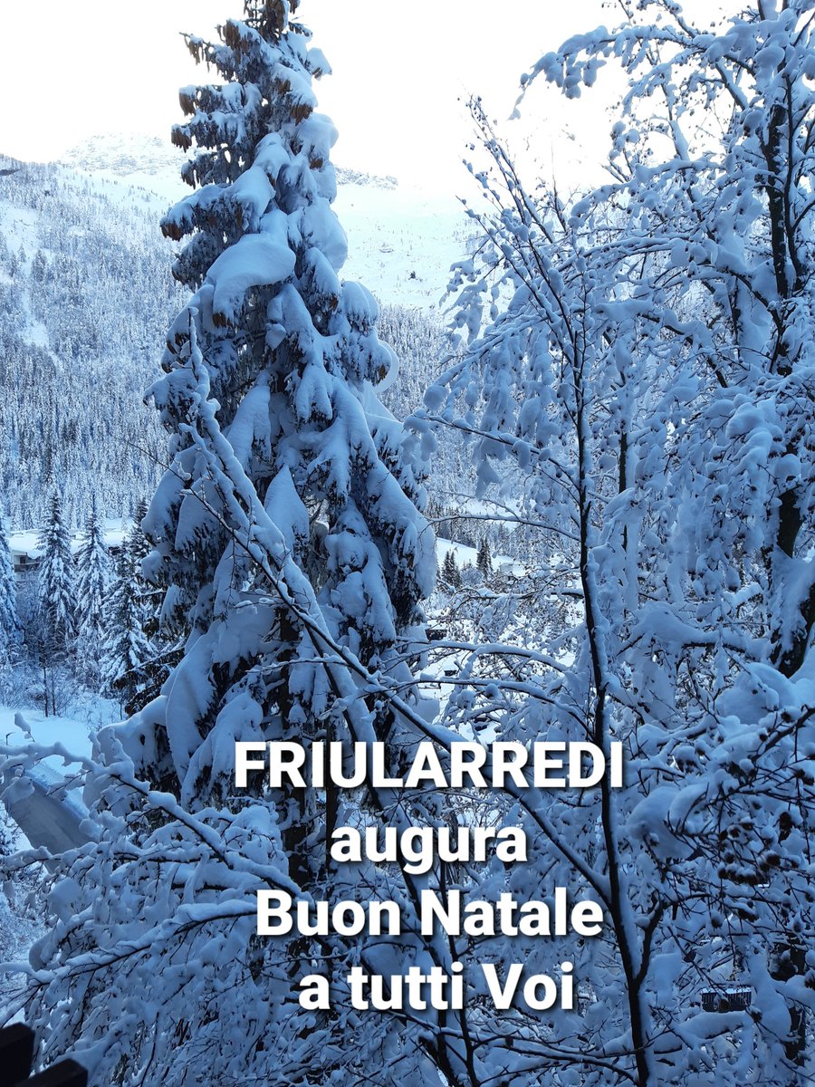 FRIULARREDI's tweet image. 